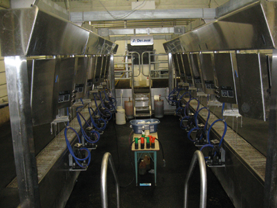 milking parlour 16